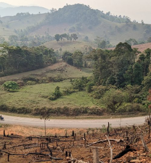 MuangMok to Thasi road