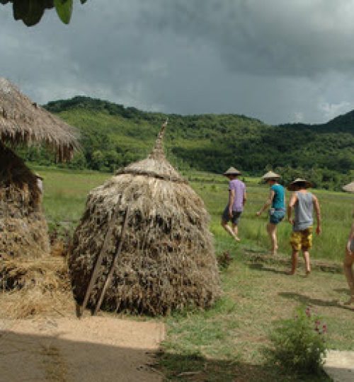 Rice planting experience - collecting hay